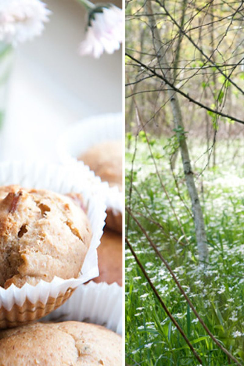 muffinki1