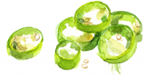 ammniam_brukselka